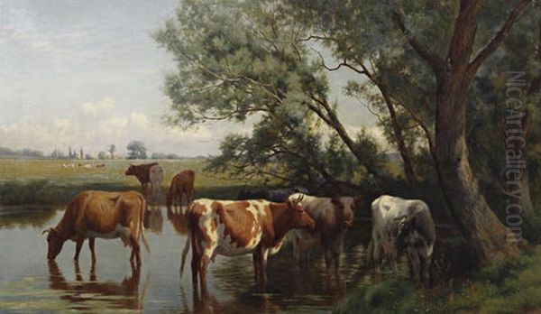 Cattle Watering - view 1