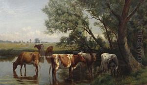 Cattle Watering Cattle Watering