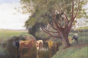 Cattle In A Water Meadow (sheep On A Moor; Pair)