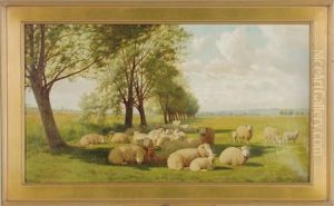 Sheep Resting In A Meadow by William Sidney Cooper
