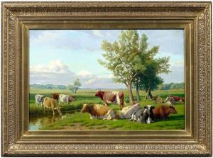 Weite Sommerlandschaft Mit Rinderherde