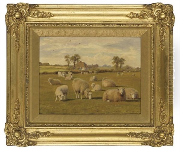 Sheep In A Field - view 1
