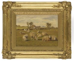 Sheep In A Field
