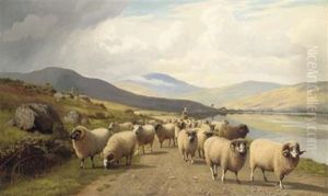 Sheep By A Loch Sheep By A Loch