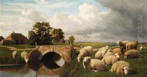 Sheep By A River