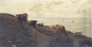Cattle Grazing By The Sea Cattle Grazing By The Sea