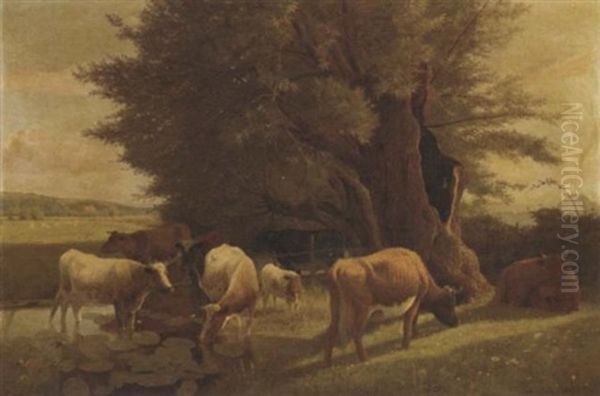 Cattle Watering In A Pond - view 1
