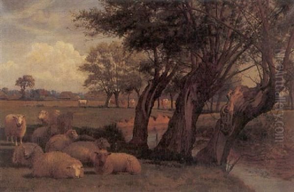 Cattle And Sheep Resting Near A River - view 1
