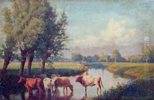 Cattle Watering