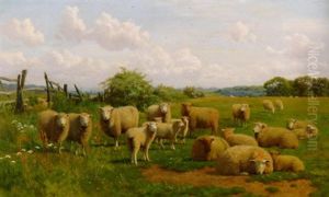 Schafe Auf Der Weide In Sommerlicher Wiesenlandschaft by William Sidney Cooper
