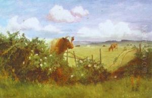 Cattle Grazing Cattle Grazing