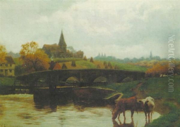 Cattle Watering Near A Lock - view 1