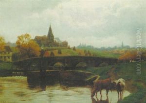 Cattle Watering Near A Lock