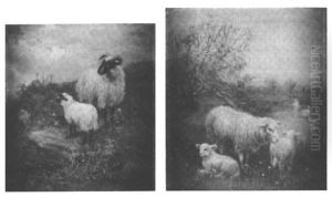 Landscape With Sheep Landscape With Sheep
