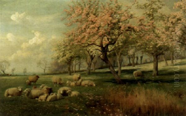 Sheep In A Spring Meadow - view 1