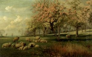 Sheep In A Spring Meadow by William Sidney Cooper