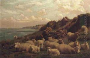 Sheep Resting In A Coastal Landscape Sheep Resting In A Coastal Landscape