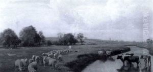 Summer Pastures Summer Pastures
