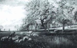 Spring Lambs Spring Lambs