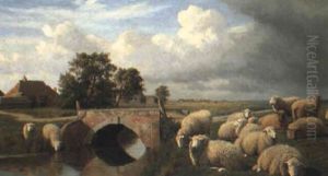 Sheep By A Bridge Sheep By A Bridge