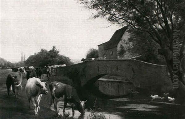 Cattle Watering - view 1