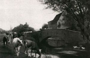 Cattle Watering Cattle Watering