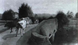 Milking Time