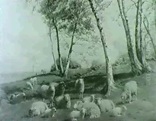 Sheep In A Woodland Glade - view 1