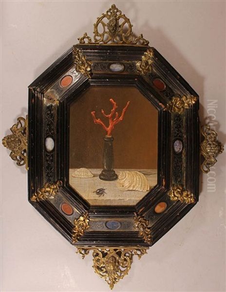 Still Life With Shells, A Red Coral On A Black Column And A Crawling Beetle On A Stone Plinth In Front Of Brown Background by Adriaen Coorte