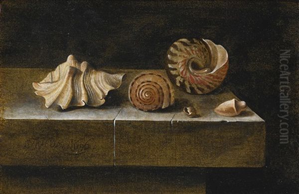Still Life With Sea Shells - view 1