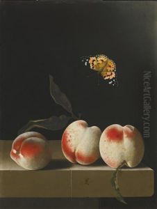 Three Peaches On A Stone Ledge, With A Red Admiral Butterfly by Adriaen Coorte