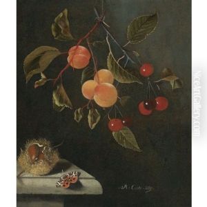 Still Life With A Butterfly, Apricots, Cherries, And A Chestnut by Adriaen Coorte