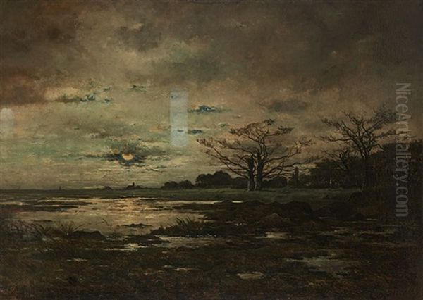 Reflets De Lune Sur La Marre - view 1