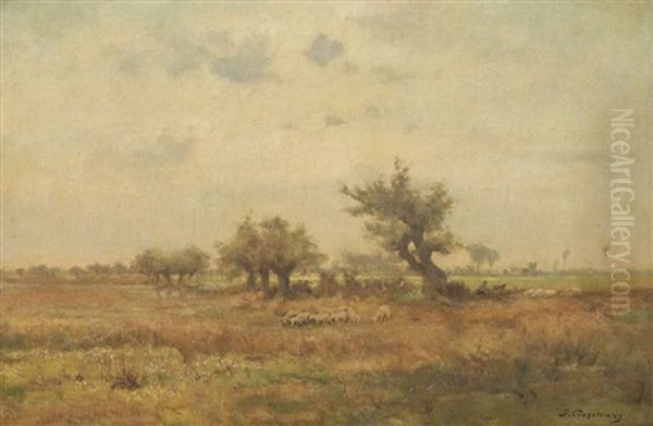 Berger Aux Moutons Au Repos Au Pre - view 1