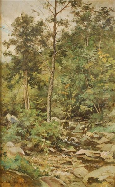 Ruisseau Dans Un Paysage Boise - view 1