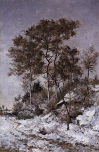 Winterlandschap - Sneeuwlandschap Te Genk - view 1