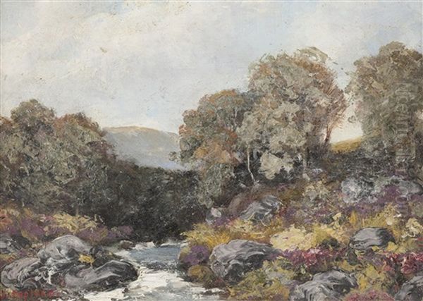 Dundrennan (+ Solway Coast; Pair) - view 1