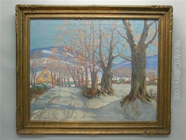 December Shadows - view 1