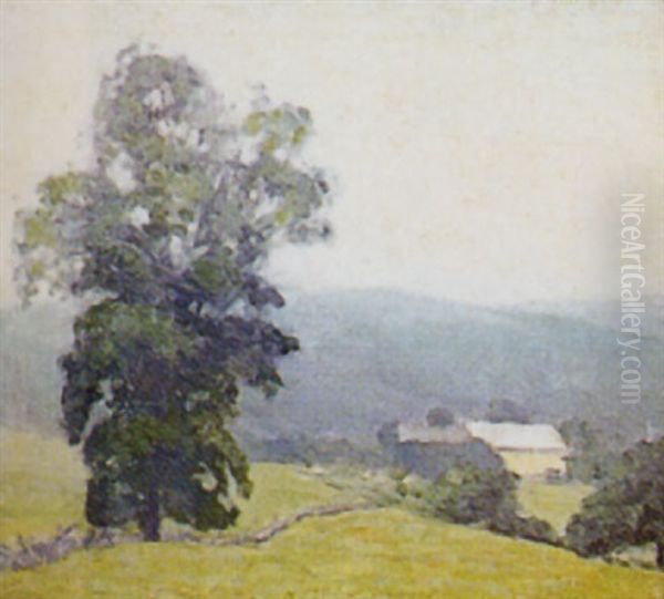 Spring Landscape With House In Background - view 1