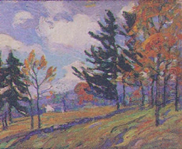 Hillside Landscape With Evergreens And House In The Background - view 1
