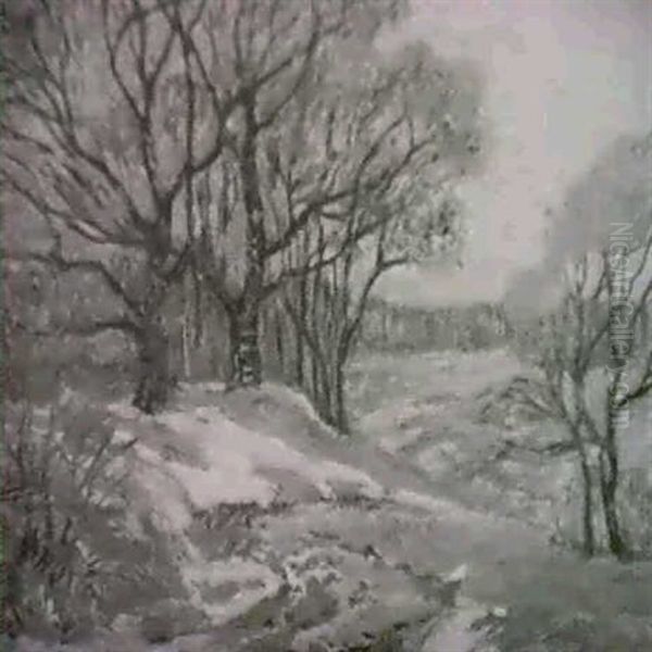 Early Winter Pennsylvania - view 1