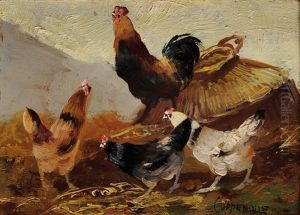 Poules Poules