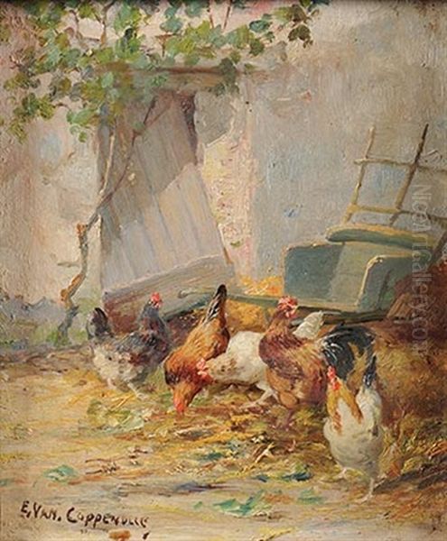 Poulailler - view 1