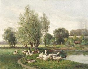Schnatternde Ganse Am Ufer Eines Sees