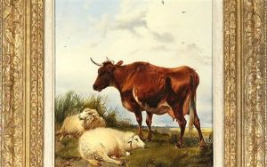 Sheep And Cow In Pasture by Thomas Sidney Copper