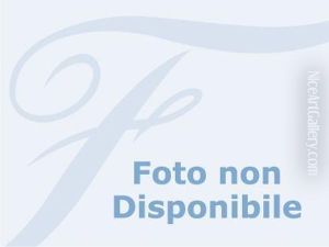Cavallo Tornese