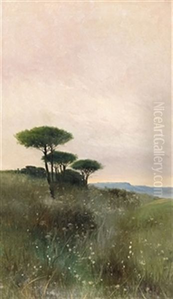 Paisaje Con Arboles - view 1
