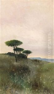 Paisaje Con Arboles by Tomas Sans Corbella