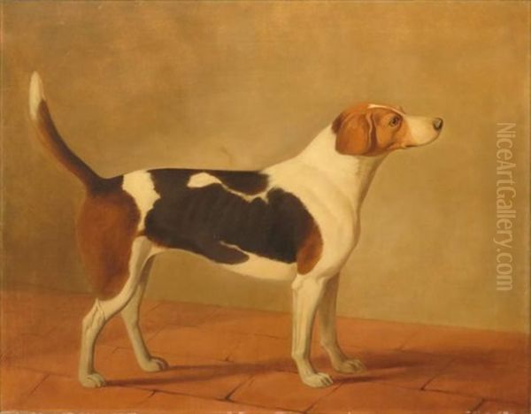 Hound In A Landscape - view 1