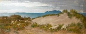 Sheep Grazing In The Dunes, On An Italian Coast by Edith Corbet